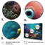 Under the Sea I - reproduction sur toile-86806227-86806236