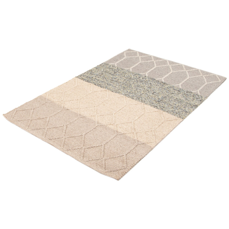 Iagulli Performance Hand Braided Wool Rug