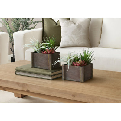 Artificial Succulent