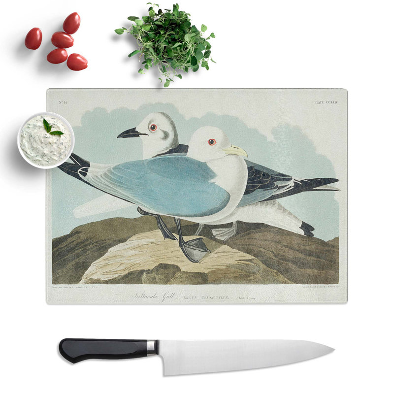 Tempered Glass Two Kittiwake Gulls by John James Audubon Chopping Board, 39 cm x 28.5 cm