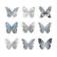 " Butterfly Study II " by Julia Bosco-20930339