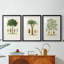 Arbre antique avec fruit - impression encadrée sur mesure de qualité supérieure matte - 3 pièces