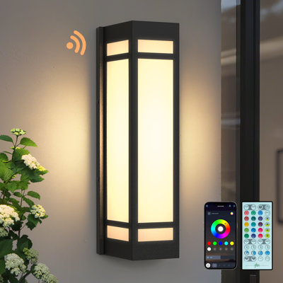 15"H Dimmable RGB Iron Outdoor Wall Light with Remote&App