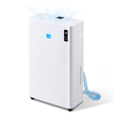 Erivess 4500 Sq. Déshumidificateur Ft, déshumidificateur de 70 chopines maximum pour le sous-sol, déshumidificateurs à compresseur pour la maison avec tuyau de vidange, affichage à double DEL, contrôle intelligent de l'humidité, écoénergétique, silencieux pour la chambre à coucher, grandes pièces