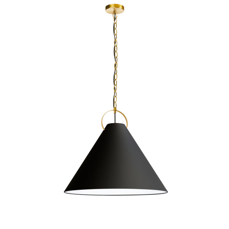 Princeton 1 Light Incandescent Pendant, 19.5" H x 24" W x 24" D, Black, Aged Brass
