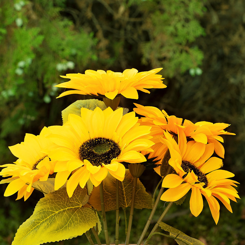 Arrangement floral tournesol en pot