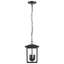 Lanterne suspendue d'extérieur - 3 lumières - Noir mat - Verre transparent