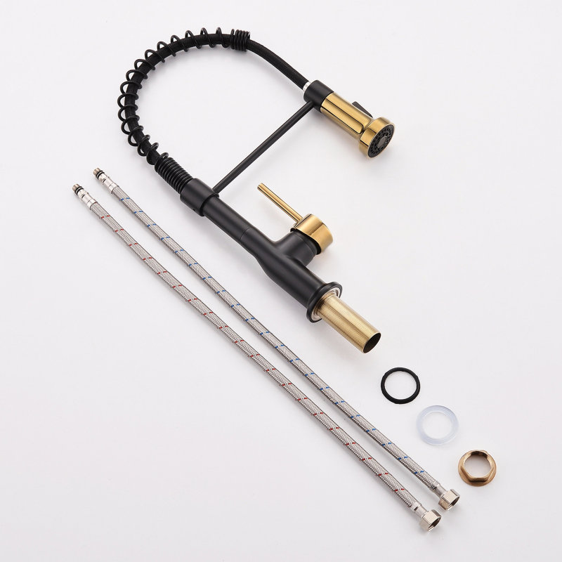 Robinet de cuisine avec douchette extractible, robinet d'évier de cuisine à poignée simple