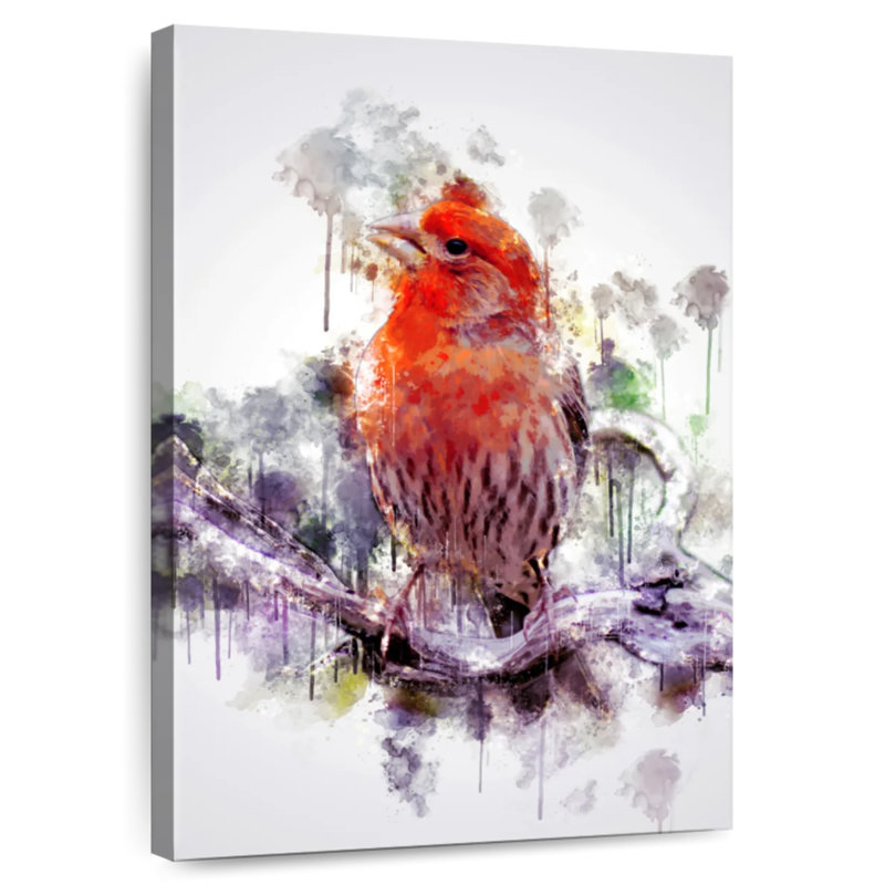 Brampt House Finch, 36" H x 24" W