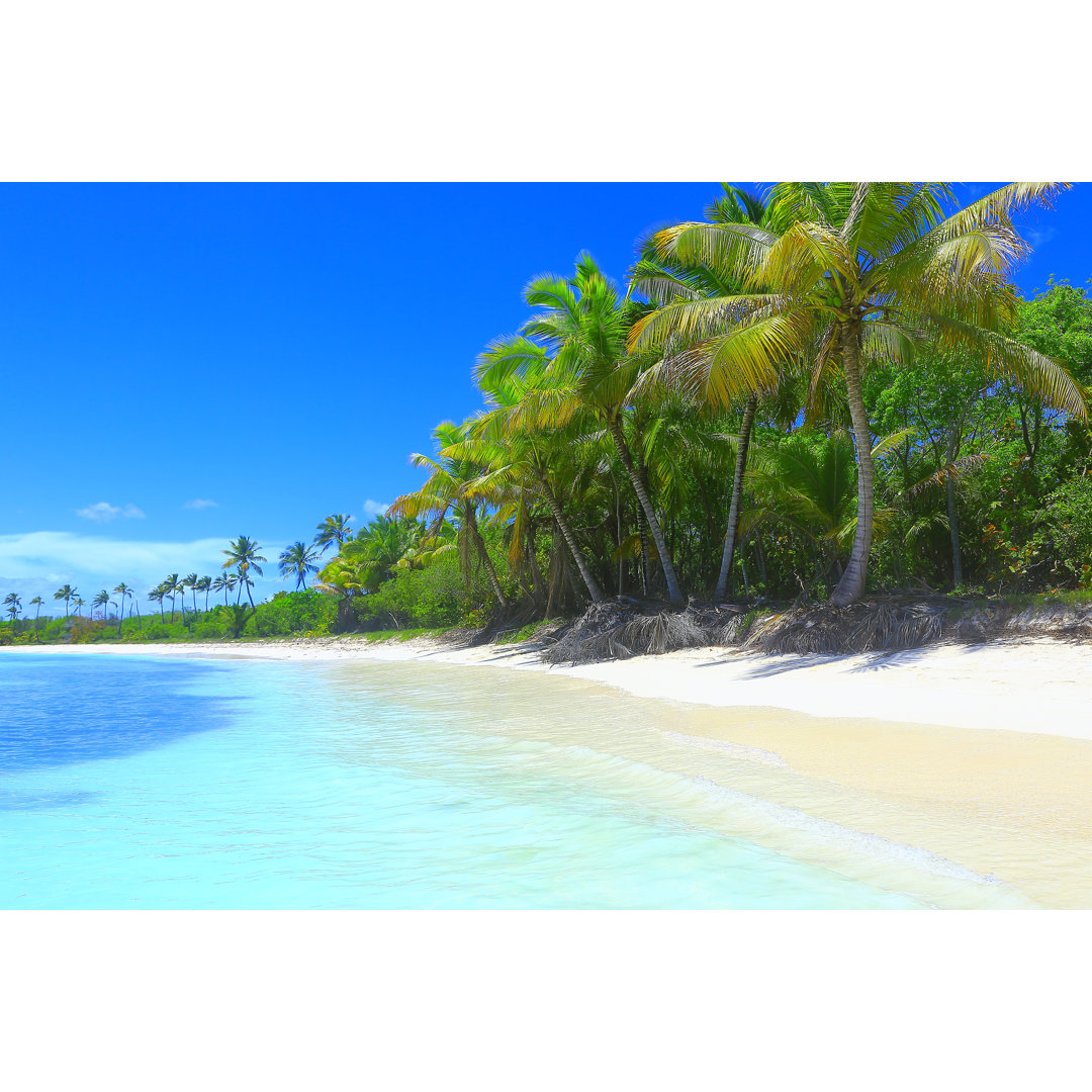 Tropical Paradise Relax Summer Dreamscape von Agustavop - Leinwanddrucke