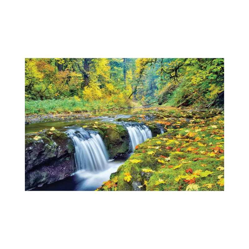 Tiny Falls by Dennis Frates - Wrapped Canvas Print, 20.32 cm H x 30.48 cm W