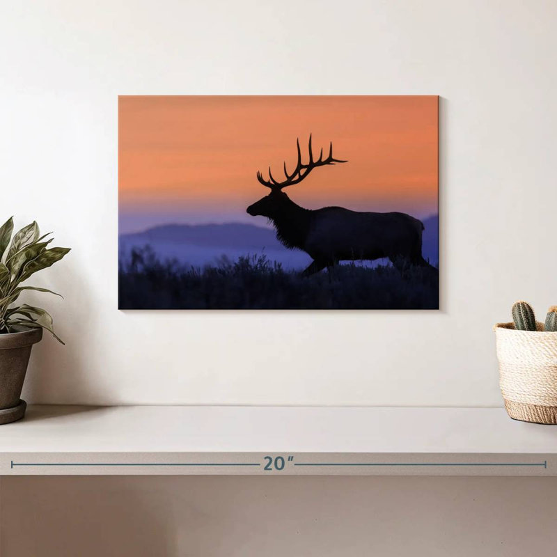 Wapiti brulé contre le coucher du soleil, H 8 po x l 12 po