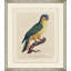 Le Perroquet 9 Painting