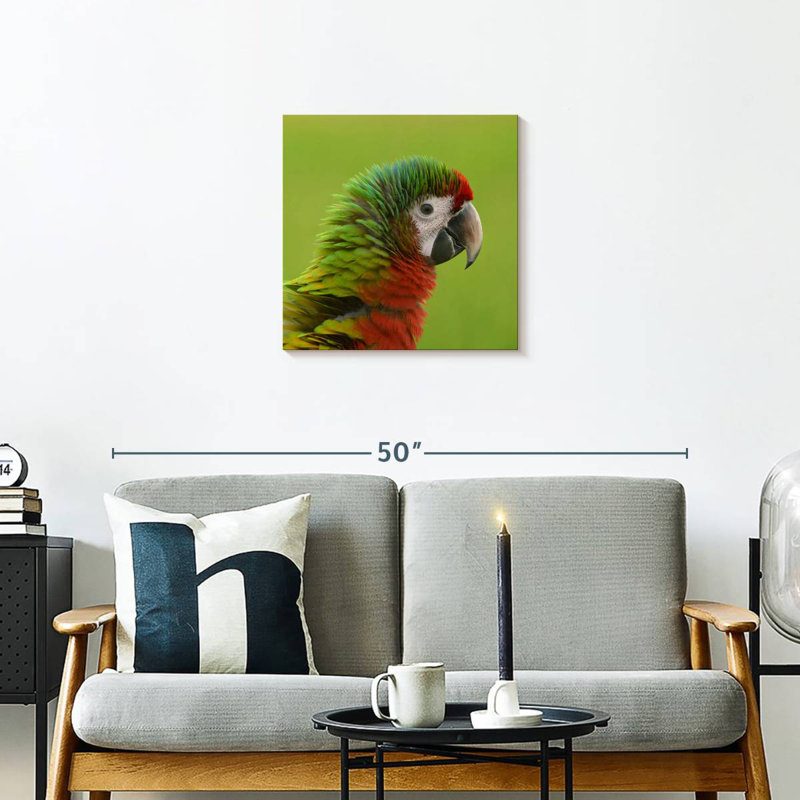 Brampt Macaw Bird Head, 20" H x 20" W