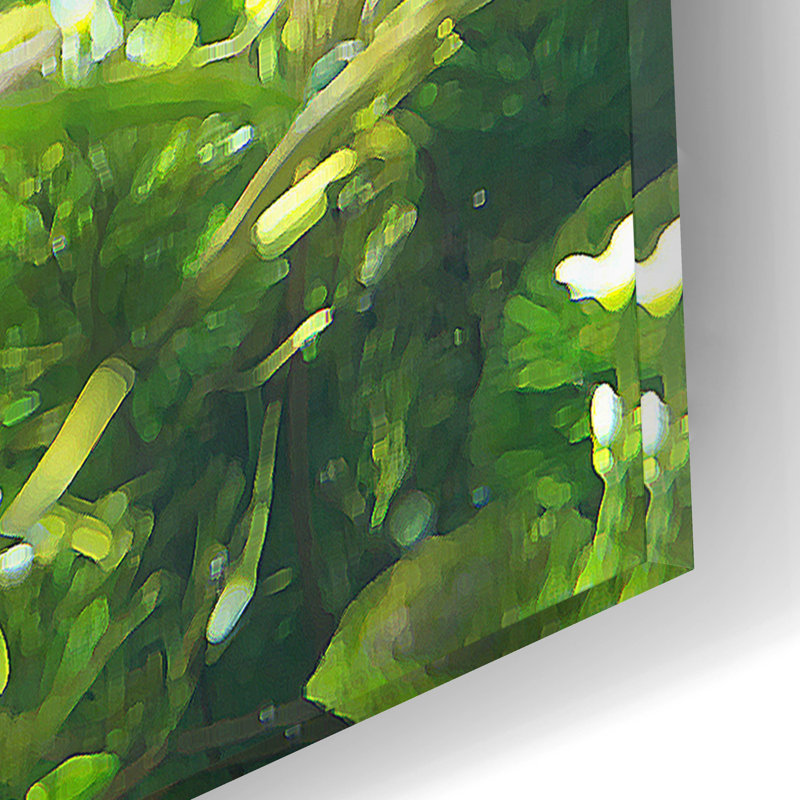 «Sea Turtle Reef» par Tim Jeffs, art mural en acrylique, 16 po x 12 po