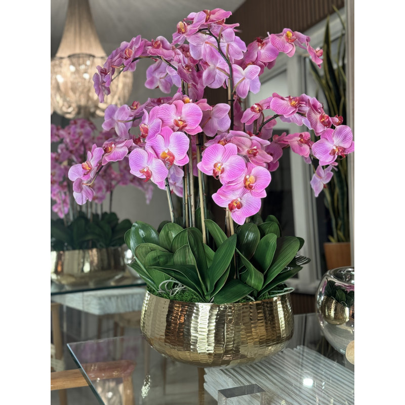 Roberi Orchid Arrangement in Planter, 38" H x 22" W x 22" D