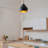 1 - Light Single Pendant