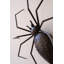  Décoration d'Halloween araignée - Figurine araignée noire