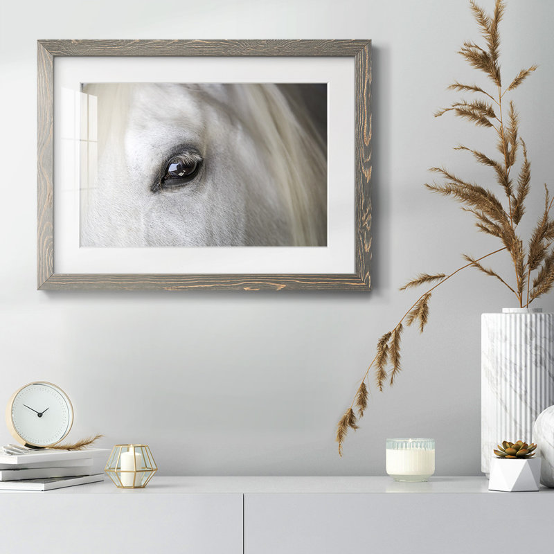 Balearic Island Horse, impression sur papier, Gris, H 28 po x l 42 po x P 1,5 po