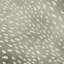 Tapis de qualité supérieure lavable à la machine Premium AMF44 1 pi 8 po x 2 pi 6 po Merilou-1444292865