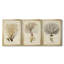 Esper Sea Fans IV - ensemble de 3 peintures sur toile encadrées-1921270025-1921270022