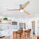 Jovonte 52'' Ceiling Fan with LED Lights