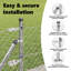 Chain Link Fence With 13 Flanged Posts Galvanised Steel-49146322-49146324