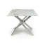Daljeet Glass Top Metal Base Dining Table-1681382756