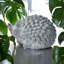 Garden Statue-1785783113
