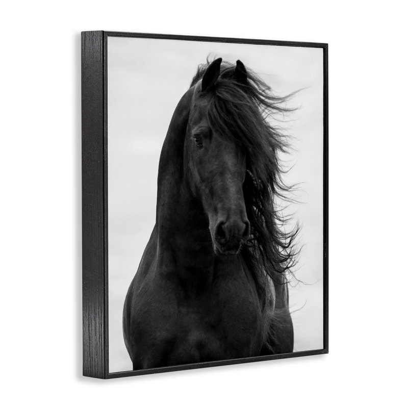 «Black Stallion Horse Portrait», art de la giclée noire encadrée par Carol Walker, H 20 po x l 16 po x P 1,5 po