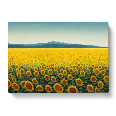 Extraordinary Sunflower Field - Wrapped Canvas