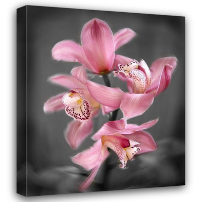 «Lark Manor ™» par Maloratsky, galerie d'art sur toile tendue Iorg, cymbidium rose vif