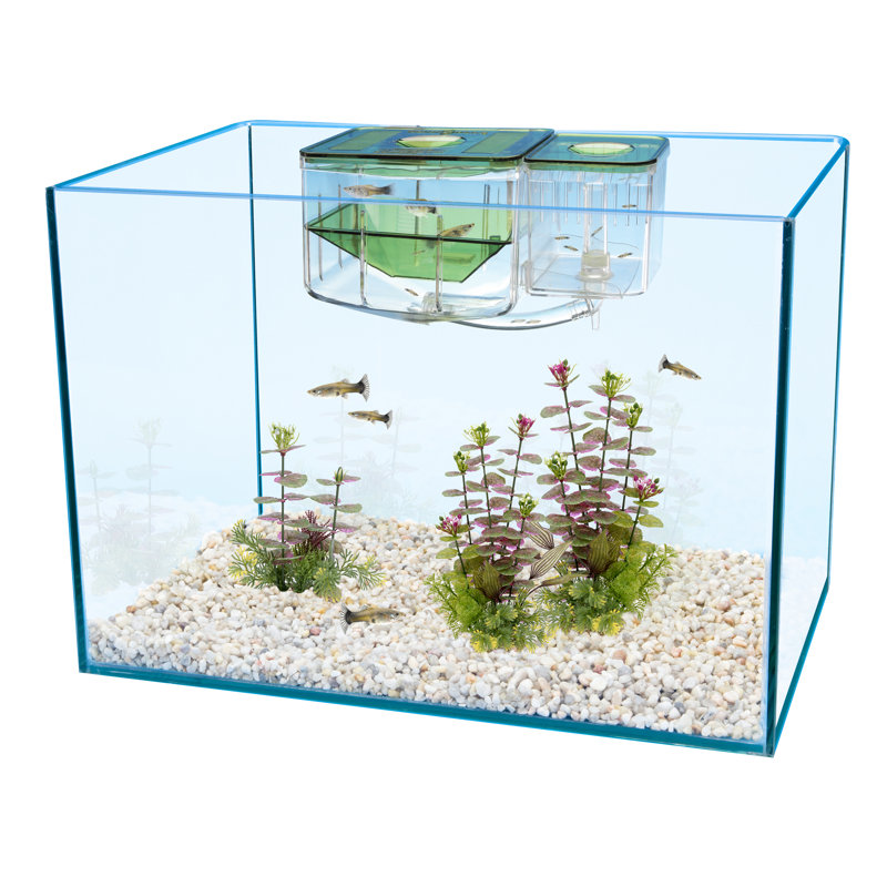 Aqua Nursery And Hatchery Breeding Box