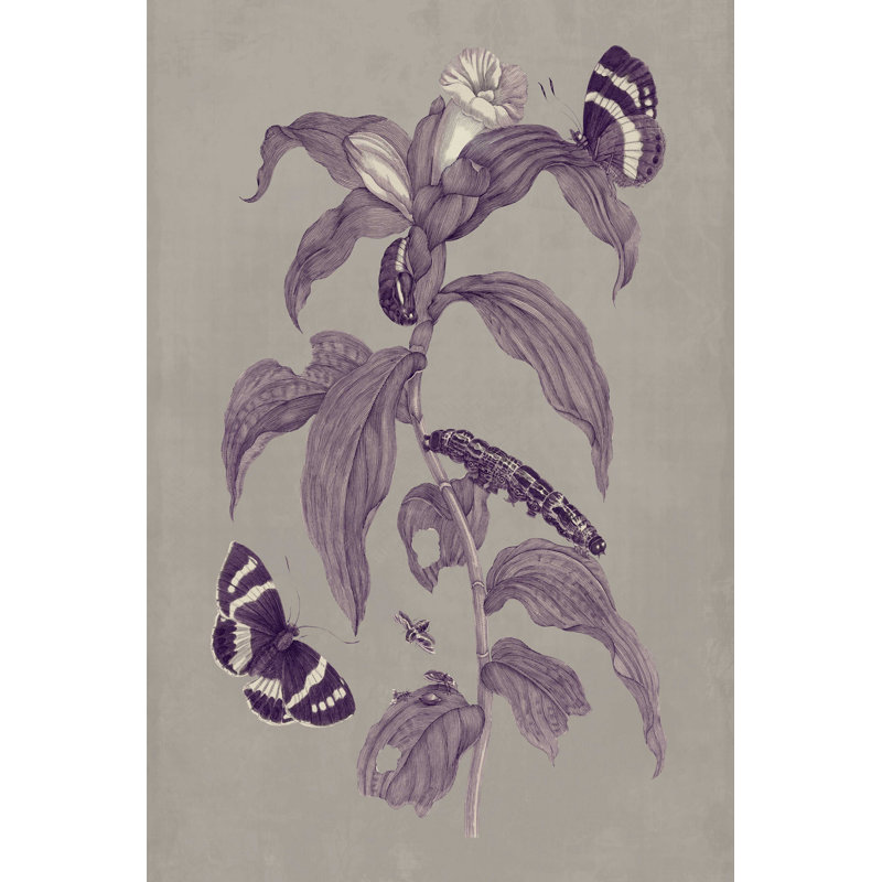 Étude de la nature en prune et taupe I, H 30 po x l 20 po