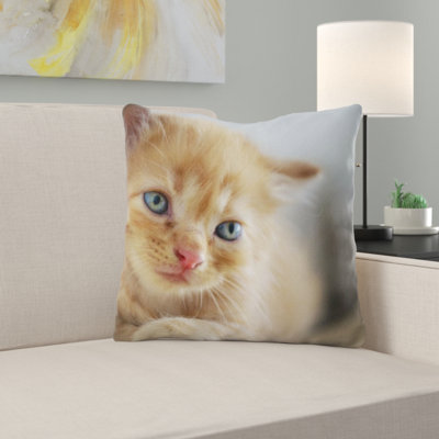 Coussin pour chat