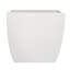 Alexy Pacifica Flower Box-589427902-589427889