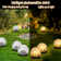 Solar Powered Integrated LED Glass Pathway Light