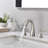 2-handle Bathroom Faucet with Drain Assembly-58689374