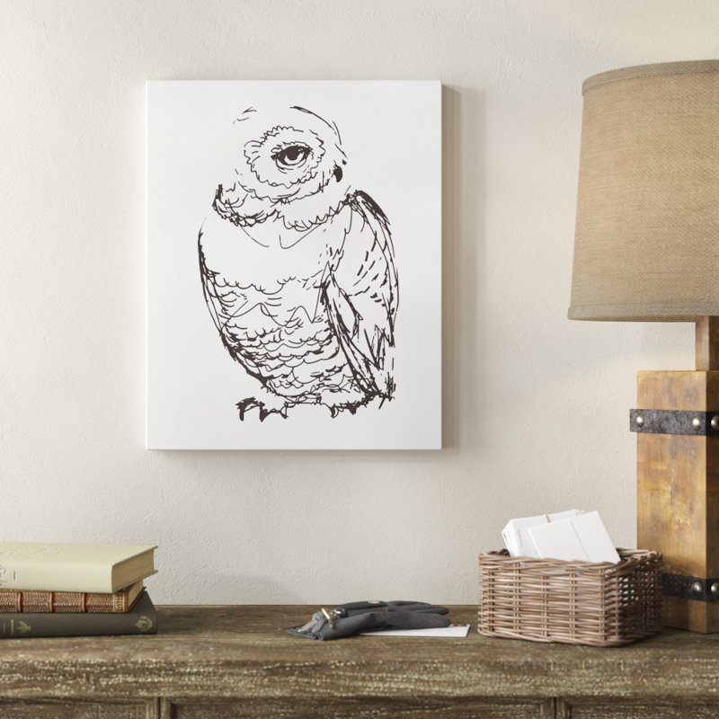 " Owl Sketch "