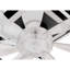 Ceiling Fan with LED Lights