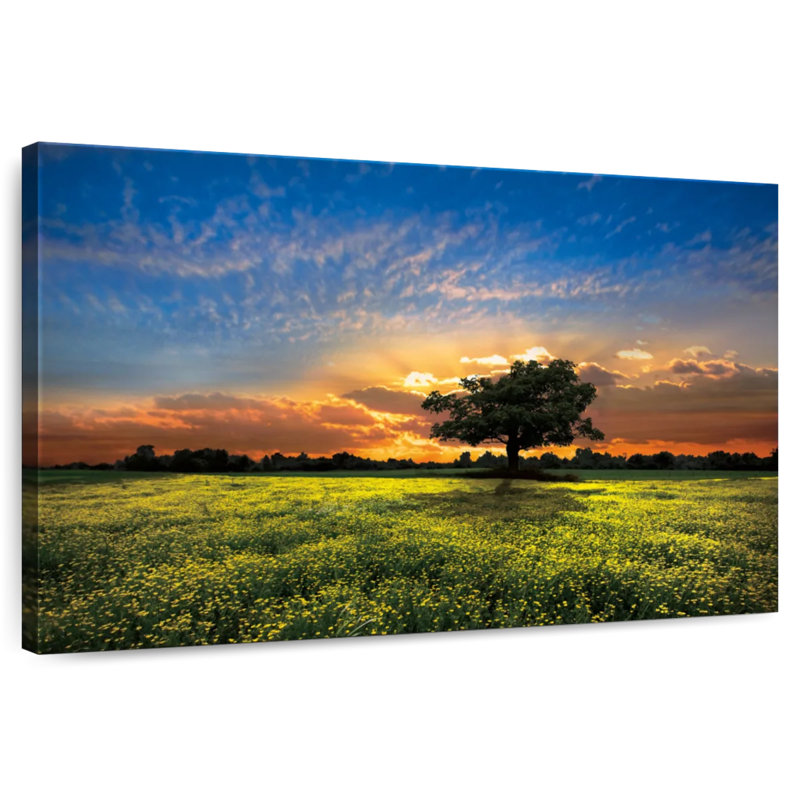 Alvord Shadows au coucher du soleil, H 34 po x l 51 po