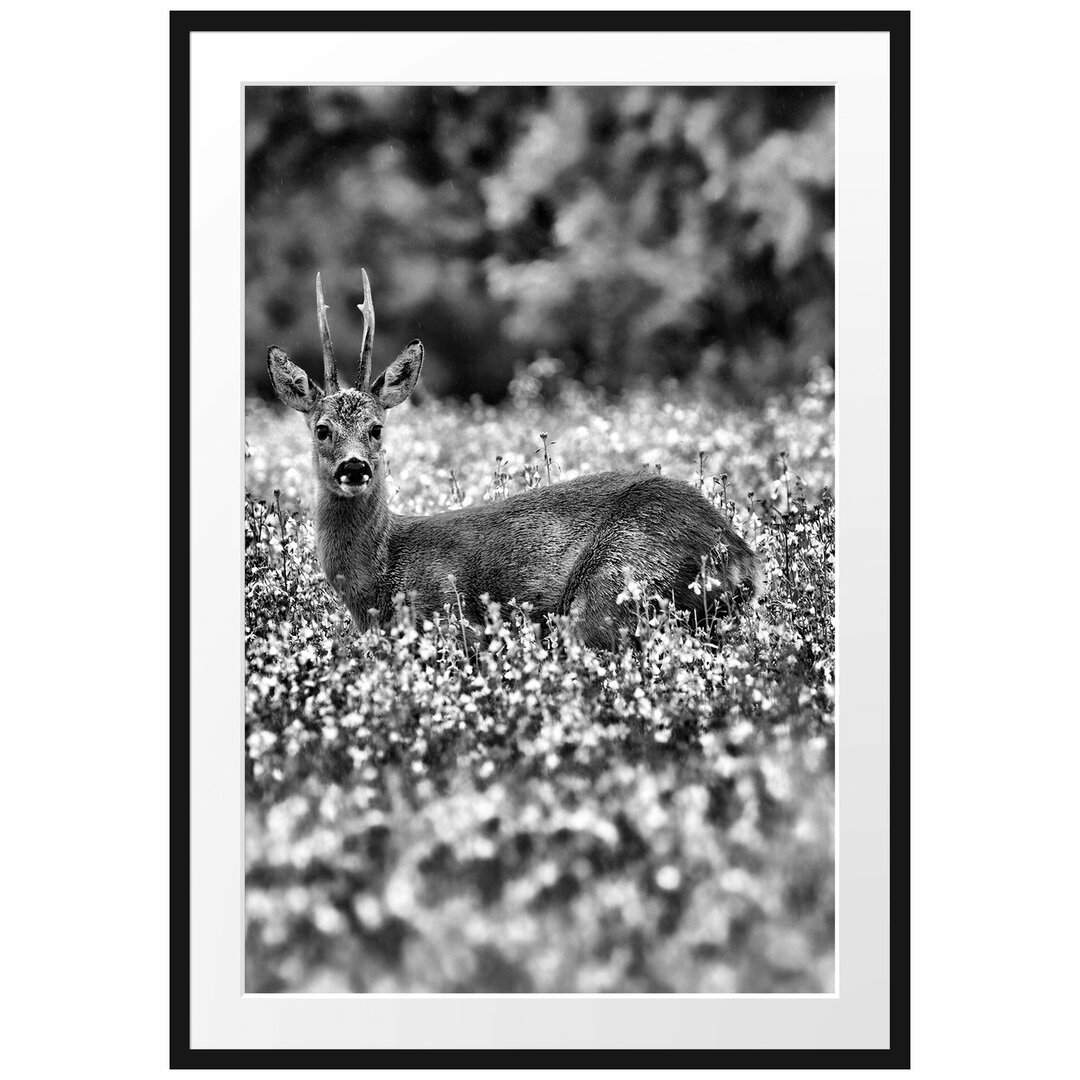 Gerahmtes Poster Junger Hirsch auf Wildwiese