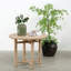 Solid Wood End Table