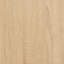 Willmot 2 -Door Accent Cabinet-95611523