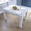 Iriemi Dining Table-398440643-331183647