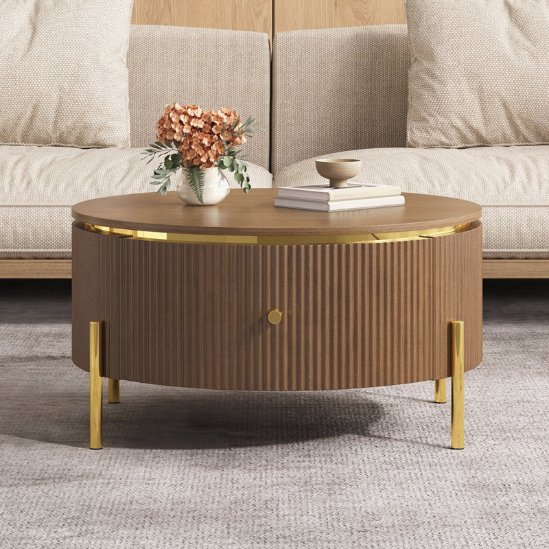 Table basse moderne avec 2 grands tiroirs de rangement Modern, Brun, Bois