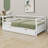 Shantee Wooden Daybed with Trundle-1804737958