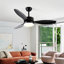 Ventilateur de plafond 52 po intérieur / extérieur avec ensemble de lumières DEL - noir