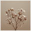 Couvre-lit matelassé beige Magnolia-128700821