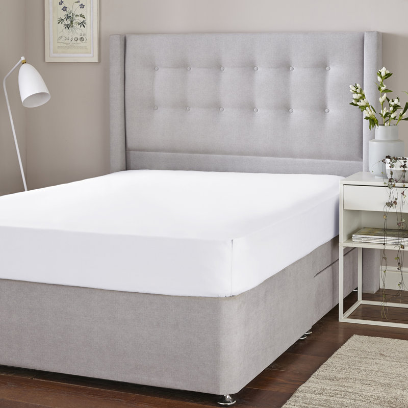 Silentnight Cotton Rich Soft Fitted Sheet, Double (4'6), White